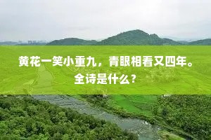 黄花一笑小重九，青眼相看又四年。全诗是什么？