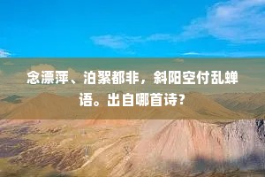 念漂萍、泊絮都非，斜阳空付乱蝉语。出自哪首诗？