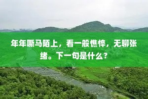 年年嘶马陌上，看一般憔悴，无聊张绪。下一句是什么？
