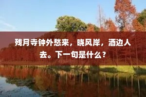 残月寺钟外愁来，晓风岸，酒边人去。下一句是什么？
