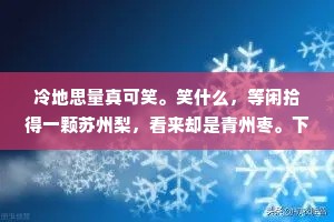 冷地思量真可笑。笑什么，等闲拾得一颗苏州梨，看来却是青州枣。下一句是什么？