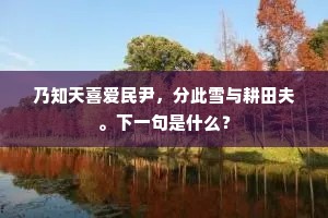 乃知天喜爱民尹，分此雪与耕田夫。下一句是什么？