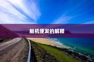 触机便发的解释