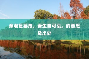 亲老复婴孩，吾生自可哀。的意思及出处