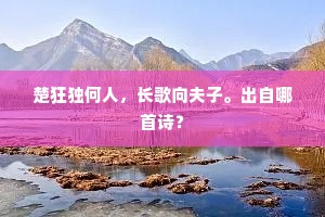 楚狂独何人，长歌向夫子。出自哪首诗？
