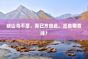 岐山鸟不至，吾已方自此。出自哪首诗？