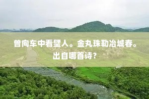 曾向车中看璧人。金丸珠勒冶城春。出自哪首诗？
