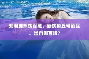 知君埋照饶深意，新筑糟丘号酒民。出自哪首诗？