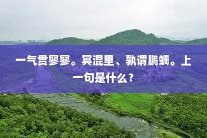一气贯寥寥。冥混里、孰谓鹏蜩。上一句是什么？