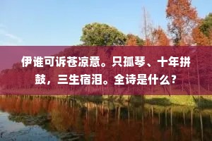 伊谁可诉苍凉意。只孤琴、十年拼鼓，三生宿泪。全诗是什么？