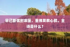 早已断弦封废匣，重拂莫教心碎。全诗是什么？