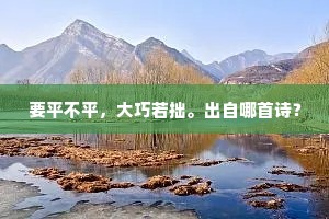 要平不平，大巧若拙。出自哪首诗？