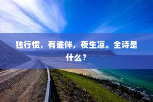 独行惯，有谁伴，夜生凉。全诗是什么？