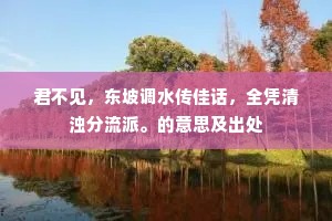 君不见，东坡调水传佳话，全凭清浊分流派。的意思及出处