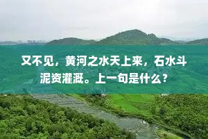 又不见，黄河之水天上来，石水斗泥资灌溉。上一句是什么？