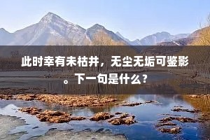 此时幸有未枯井，无尘无垢可鉴影。下一句是什么？