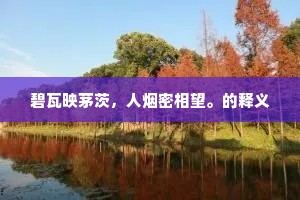 碧瓦映茅茨，人烟密相望。的释义