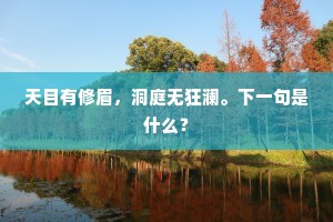 天目有修眉，洞庭无狂澜。下一句是什么？
