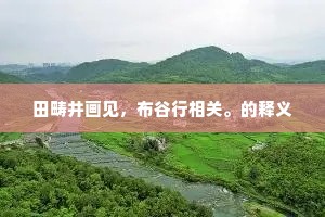 田畴井画见，布谷行相关。的释义