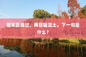 醒来疏雨过，两目隘泥土。下一句是什么？