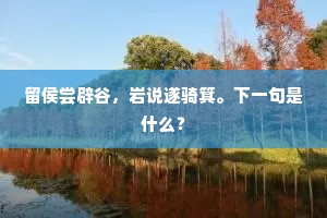 留侯尝辟谷，岩说遂骑箕。下一句是什么？