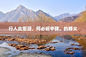 行人此堕泪，何必岘亭碑。的释义