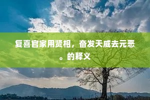 复喜官家用贤相，奋发天威去元恶。的释义