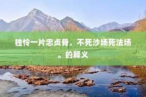 独怜一片忠贞骨，不死沙场死法场。的释义