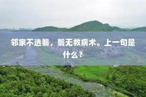 邻家不选翳，翳无救病术。上一句是什么？