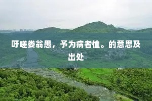 吁嗟娄翁愚，予为病者恤。的意思及出处