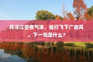 月冷江空夜气浓，桂行飞下广庭风。下一句是什么？