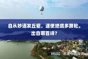 自从妙语发丘壑，遂使绝境多蹄轮。出自哪首诗？