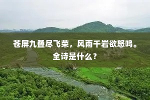 苍屏九叠尽飞荣，风雨千岩欲怒鸣。全诗是什么？