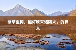 衰草重冈，雁灯吹灭诸陵火。的释义