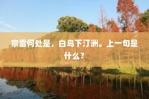 宗雷何处是，白鸟下汀洲。上一句是什么？