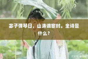 宓子弹琴日，山涛谪宦时。全诗是什么？