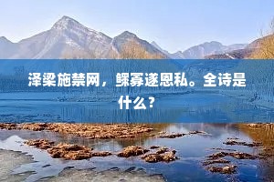 泽梁施禁网，鳏寡遂恩私。全诗是什么？