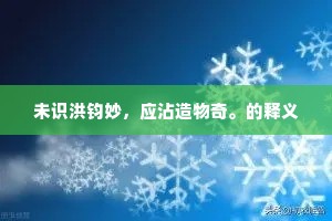 未识洪钧妙，应沾造物奇。的释义