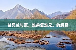 试凭兰与蕙，难弟复难兄。的解释