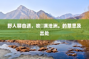 野人聊自适，吹篴满沧洲。的意思及出处
