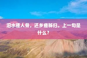 汨水骚人骨，还乡瘗秭归。上一句是什么？