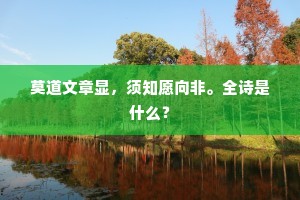 莫道文章显，须知愿向非。全诗是什么？