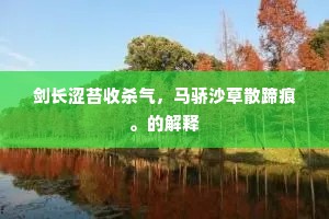 剑长涩苔收杀气，马骄沙草散蹄痕。的解释
