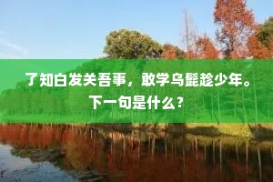 了知白发关吾事，敢学乌髭趁少年。下一句是什么？
