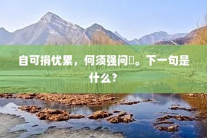 自可捐忧累，何须强问鸮。下一句是什么？