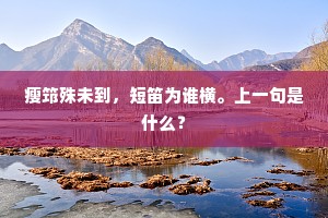 瘦筇殊未到，短笛为谁横。上一句是什么？