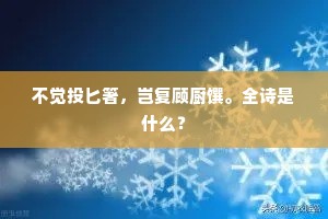 不觉投匕箸，岂复顾厨馔。全诗是什么？