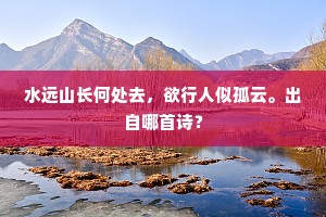 水远山长何处去，欲行人似孤云。出自哪首诗？