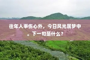 往年人事伤心外，今日风光属梦中。下一句是什么？