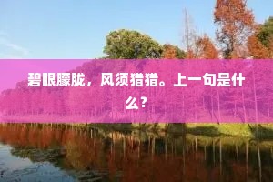 碧眼朦胧，风须猎猎。上一句是什么？